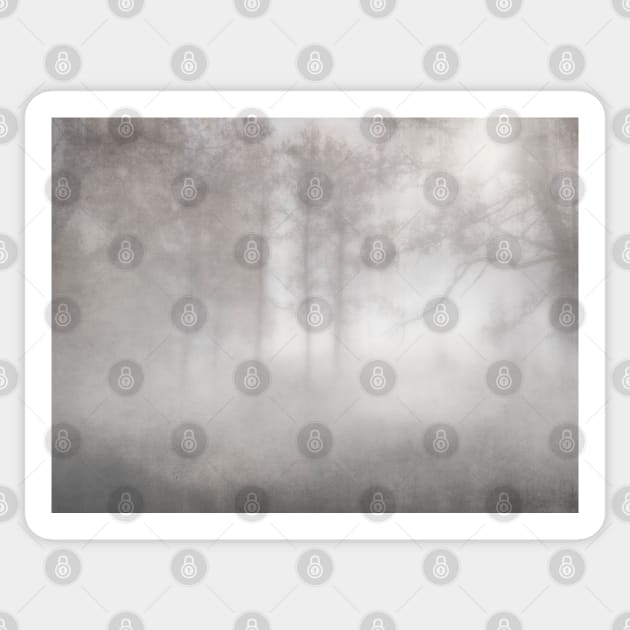 Into The Mist photograph Sticker by art64